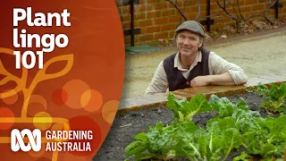What are annual, biennial & perennial plants? | Gardening 101 | Gardening Australia