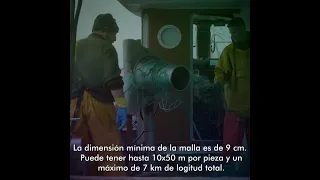 Artes de pesca artesanales |  Volanta