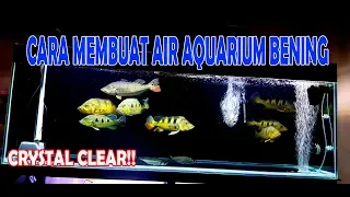 Filtrasi Untuk Ikan Predator