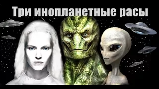 Три основные инопланетные расы