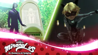 MIRACULOUS | 🐞 GATO BLANCO - Revelação 🐞 | As Aventuras de Ladybug