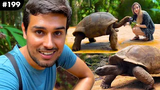 The Giant Aldabra Tortoises | Longest Living Reptiles 190+ years | Dhruv Rathee Vlogs