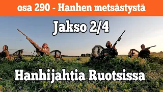 Osa 290 - Hanhen metsästystä Ruotsissa - Jakso 2/4 - 2022/2023