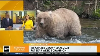 Meet the 2023 Fat Bear Week champion
