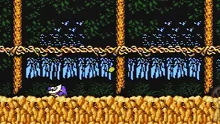 Darkwing Duck (Черный Плащ) - walkthrough-прохождение (NES, Famicom, Dendy)