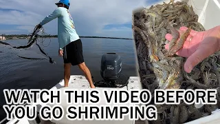 Watch this Video Before You Go Shrimping | Tips & How to Catch Shrimp | Where to Find Shrimp