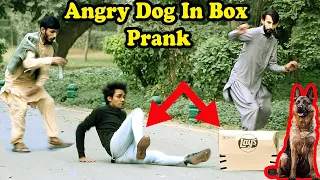 Fake Dog Prank In Box ( Part 3) @Waqasranaofficial