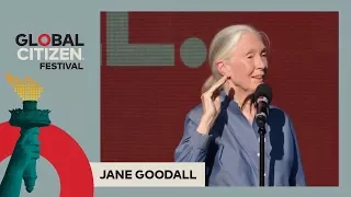 Jane Goodall Calls for Climate Change Action to Save Planet | Global Citizen Festival NYC 2017