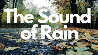 The Sound of Rain. Rain for Sleeping, Meditation, Relaxation or Dreaming / Шум дождя.