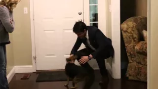 Пёс встречает своего хозяина, которого не видел 2 года