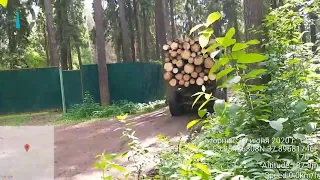 Эй, шлюха! Водители лесовозов в Ивантеевском лесу давят и оскорбляют жителей.