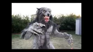 Werewolf Costume 2010