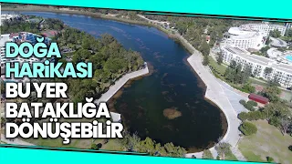 Doğa Harikası Titreyengöl Yok Olma Tehlikesiyle Karşı Karşıya