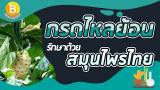 ทึ่ง❗ กรดไหลย้อน รักษาได้ด้วยสมุนไพรไทย 🍀 | BEANHEALTHY