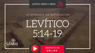 Levítico 5:14-19 [La OFRENDA de REPARACIÓN]  ✔ ¡Confiesa tu pecado de ignorancia y conoce lo santo!