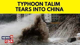 China Typhoon 2023 | Typhoon Talim Leaves Behind Crushed Vehicles, Beached Whale In Southern China