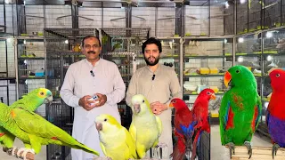 Multan Sunday Birds Rasheedabad 26 May 2024 latest Update​ I Part 2