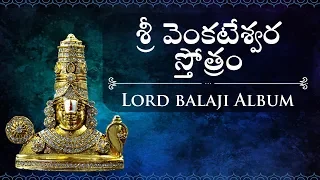 ఈ పాటా ప్రతి శనివారం వింటే 1000 జన్మల పుణ్యం సిద్దిస్థుంది | శ్రీ వెంకటేశ్వర స్తోత్రం