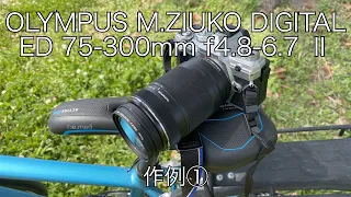 OLYMPUS M.ZUIKO DIGITAL ED 75-300mm f4.8-6.7 Ⅱ 作例①