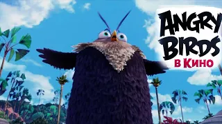 Суровый приговор - курсы по управлению гневом (Angry Birds в кино 2016 г)