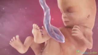 Os sentidos do bebê na gravidez