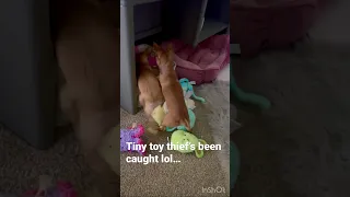 Tiny toy thief gets busted...😂