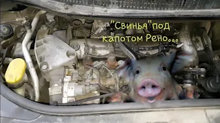 Жесть на СТО или будни автомехаников #32 "Свинья" под капотом у  Рено Сценик...