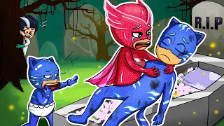 R.I.P All - | What happened -   | Catboy's Life Story | PJ MASKS 2D Animation