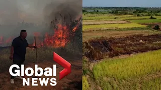 Drought strikes China’s farmlands, villagers battle brush fire with mops