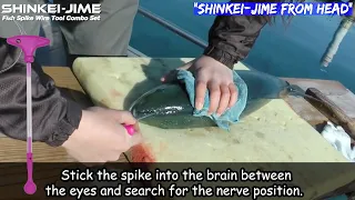 SHINKEI-JIME Fish Spike Wire Tool | Ikejime | Ikijime