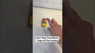 How They Test Mouse Traps At The Factory #Shorts