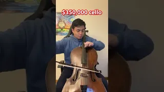 $600 cello vs. $350,000 cello, can you tell the difference? #shorts
