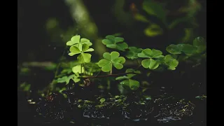 Meditation Music  to attract Your Luck. Powerful Good Luck Magnet. 777Hz Get Lucky. ★13