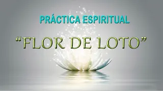 Práctica espiritual “Flor de Loto” del libro de Anastasia Novykh “Sensei. Primordial de Shambhala"