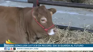 Ragusa, conclusa la F.A.M. da record, già si guarda al futuro