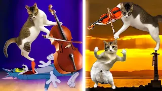 Cat Violin Prodigy Believe It or Not !!!😮😂