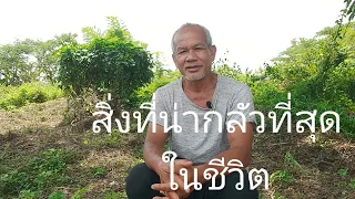 สิ่งที่น่ากลัวที่สุดในชีวิต