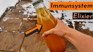 Fermentiertes KURKUMA Getränk selber machen (DETOX Rezept!)