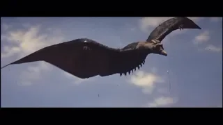 Rodan Tribute - Ready Aim Fire