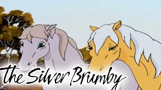 The Silver Brumby | Golden is in Trouble! 🐎| HD FULL EPISODES