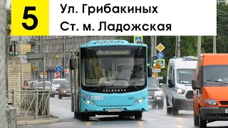 Автобус 5 "Ул. Грибакиных - ст. м. "Ладожская"