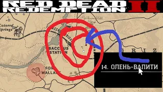 RDR2/ВАПИТИ Легендарный.Где начать!?-место на карте.Охота.Одежда.