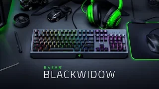 Introducing the new Razer Blackwidow