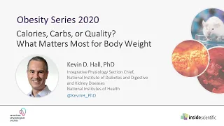 Calories, Carbs, or Quality? What Matters Most for Body Weight