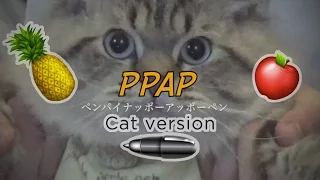 PPAP CAT VERSION ペンパイナッポーアッポーペン(Pen-Pineapple-Apple-Pen)