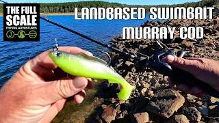 Landbased Swimbait Murray Cod | The Full Scale