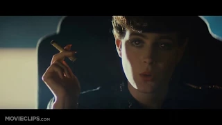 Film Studies - Aesthetics In Blade Runner