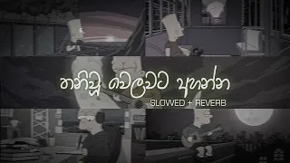 තනියම ඉන්න වෙලාවට අහන්න sinhala slowed and reverb collection | DEZTER BEATS