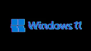 Destroying Windows 11