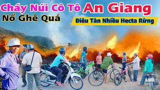 Biến Lớn An Giang mạo hiểm lên đỉnh núi Cô Tô xem nhiều hecta rừng biến thành tro bụi